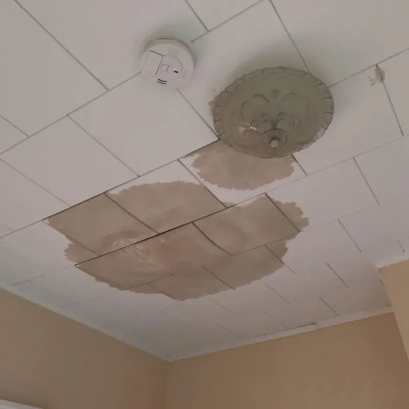 Ceiling Water Damage Repair in Hazard, KY