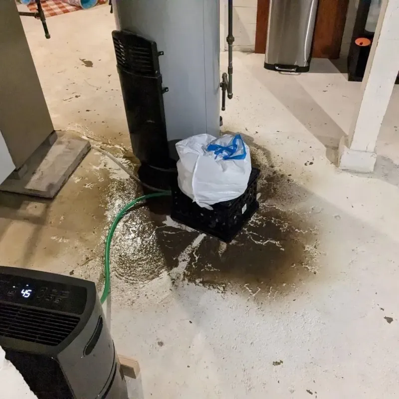 Sewage Backup Cleanup Service in Hazard, KY